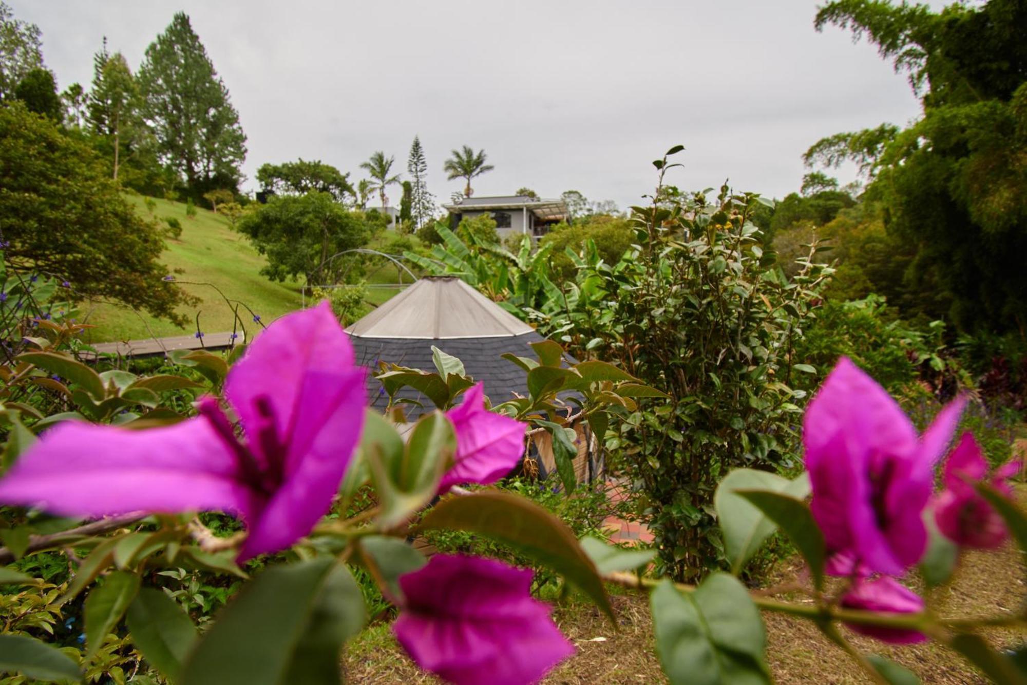 Kokumi By Bernalo Hotels ริโอเนโกร ภายนอก รูปภาพ